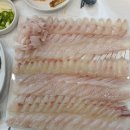 낙일횟집 | 포항 자연산 회 낙일횟집 _ 현지인 맛집_ 내돈내산 후기