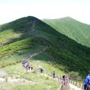 산과사람 - 남구 | 산과사람