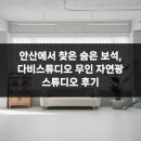 자연스튜디오 | 안산에서 찾은 숨은 보석, 다비스튜디오 무인 자연광 스튜디오 후기