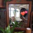 커피(coffee)꽃길