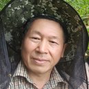 우리참옻 이미지