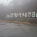 변산자연휴양림 이미지