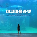 여수 아쿠아리움 아쿠아플라넷 입장권 요금 할인 실내데이트 주차장