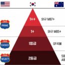 스톤스테이 | 외대 맛집 돌판에 직접 구워 먹는 샤로스톤 규카츠,스테이 솔직 후기