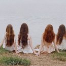 비지엠