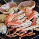 번동동부 서비스센터 | 진해동부회센터 주말 점심 후기(모듬회, 대게)-진해맛집, 전국구 가성비 횟집, 내돈 내산