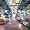 오징어 젓갈 드셔들 보셨어요 ?