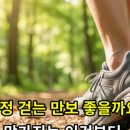 팔팔건강마켓