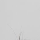 씨엘안과의원 이미지