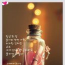 빛사랑안경 이미지