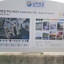 경일초 삼거리 횡단보도 일원 | 남파랑길 4코스(감천사거리~신평동 낙동강변)구름속에 쌓인 섬