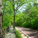 운문사사리암주차장 이미지