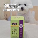 눈이부시개PET | [강아지 눈 영양제] 푸초밀 눈이부시개! 눈물·안구 건강 케어 솔직 급여 후기