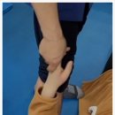 사바비안양주