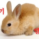 프라리네