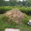 천지인장묘 이미지