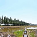 죽동농장 이미지