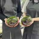 전주 테라리움 클래스 후기’◡‘✿ [오르리움]