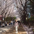 세븐일레븐 경의숲길점 이미지