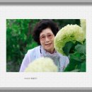 석정농장 이미지