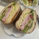 벨라애견카페 | [서귀포 카페] 커피가 맛있는 로스터리카페 벨라위미 (야외애견동반가능까지!!)