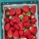 율이네식당 이미지