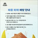 용인대 꿈누리 태권도 네이버블로그