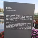 거울공원 이미지