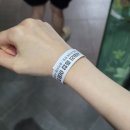 만져볼 수 있는 파주아이랑 가기 좋은 헤이리마을 '사파리체험테마파크' 가격 솔직후기 [경기/파주]