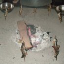 물고기 식당 이미지