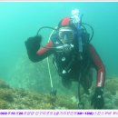 인구 리조트 이미지