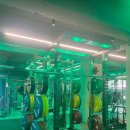 독한GYM 이미지