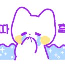 푸른나무아래약국 이미지