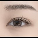 니어앤디어 이미지