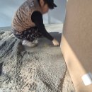 담배판매점 이미지