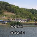 백야낚시터 Daum카페