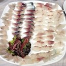 바다N | [속초 대포항]옥이네 횟집 n차 방문후기/바다처럼 변함없는 맛! 오늘도 옥이네