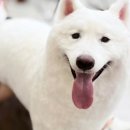 (주)스타몽 이미지