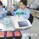 박인규축산 동아일보