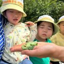 슬기농장 2 이미지