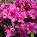 무등산당구장 이미지