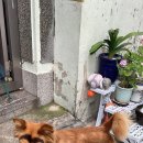 망고키즈수영장(사직점) 이미지