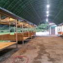 8월펜션 이미지