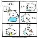 태리학동 | 차카니 과자 …