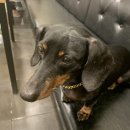 덤앤박스 이미지