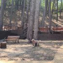 계룡숲작은도서관 이미지