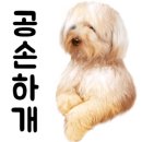 세무서사거리(세무서방향) 이미지