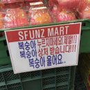 쿠야야