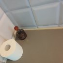 별난해변펜션 | 거제포시즌펜션에서 1박2일 보낸 후기 첫 번째