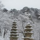 계룡산국립공원 뉴시스